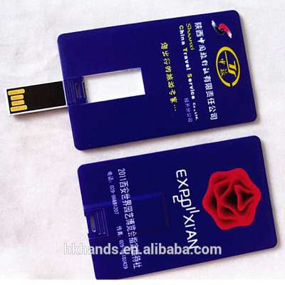 Custom low price 2gb business usb flash stick credit card usb